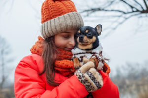 chihuahua with woman